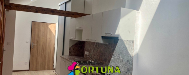 Pronájem byty 2+kk, 35 m² - České Budějovice