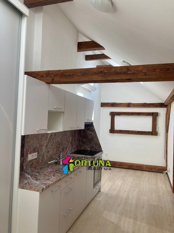 Pronájem byty 2+kk, 35 m² - České Budějovice