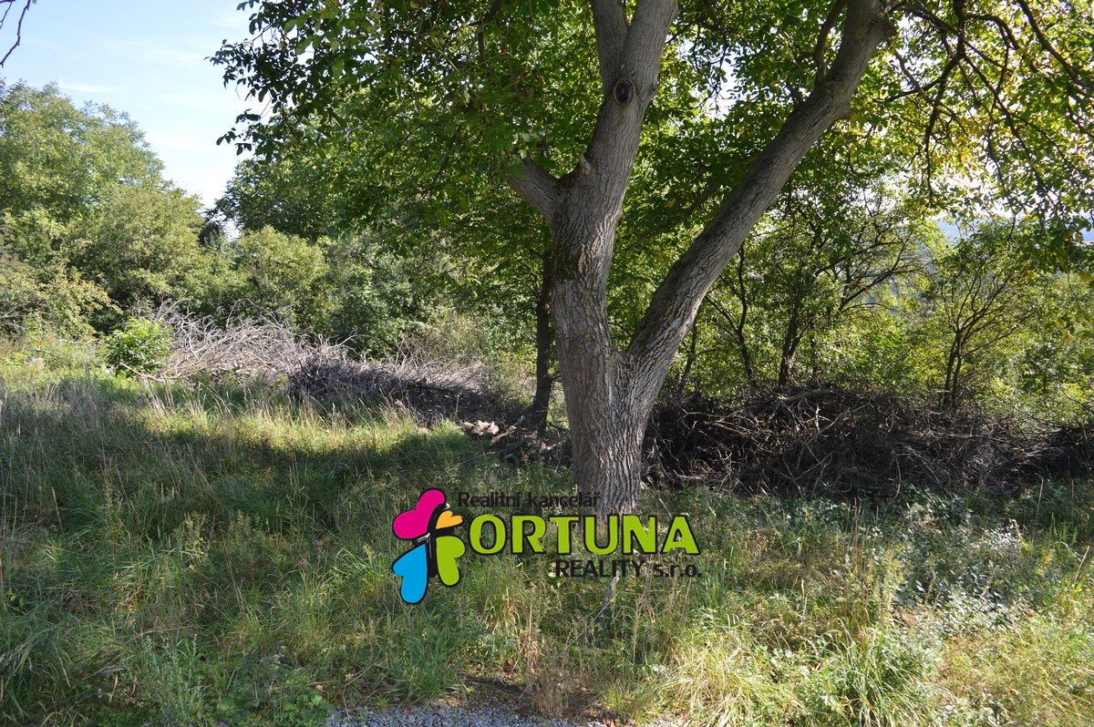 Sale, Land For housing, 0 m² -