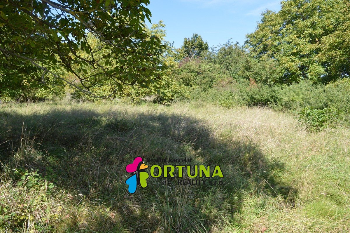 Sale, Land For housing, 0 m² -